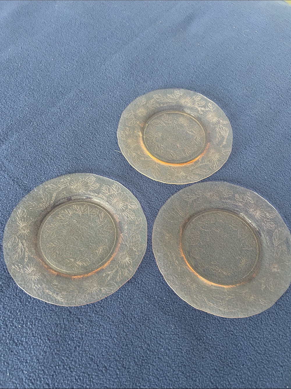 Clear Embossed Glass Dinner Plates - Floral Pattern, Set of 3